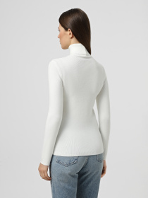 Водолазка Braska модель 21-2932/302 Фото