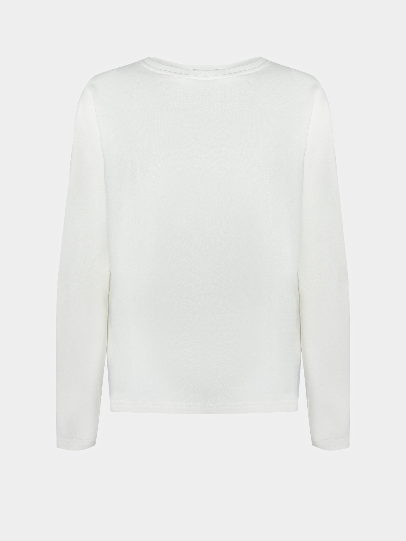 Лонгслів Braska модель 21-601/380 Фото