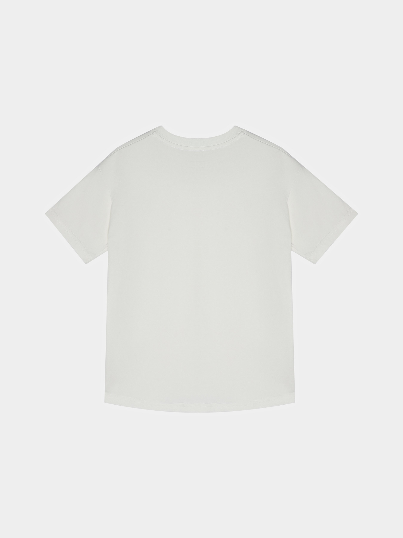 Футболка Braska модель 13036-3 Фото