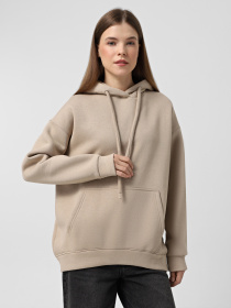 Худи Braska модель 13103-26 Фото