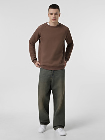 Свитшот Braska модель 22-1747/305 Фото