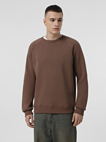 Свитшот Braska модель 22-1747/305 Свитшот Braska модель 22-1747/305 Фото