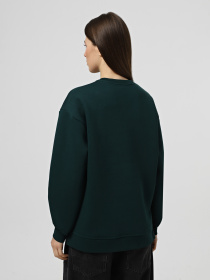 Світшот Braska модель 239-12 Фото