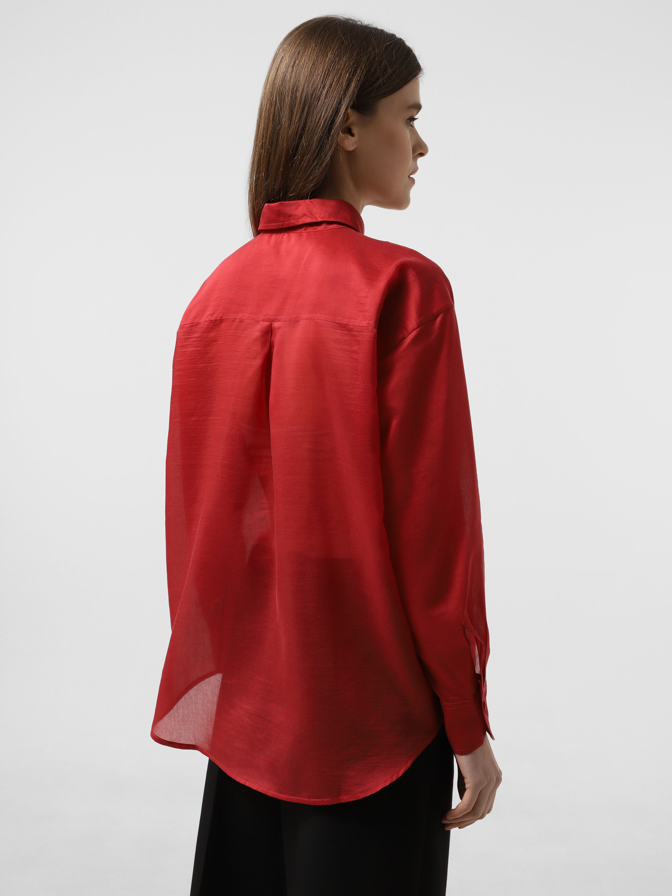 Braska 420-0054/303 модель 420-0054/303 Фото