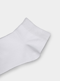 Шкарпетки та гольфи Braska модель 2404 01 Фото