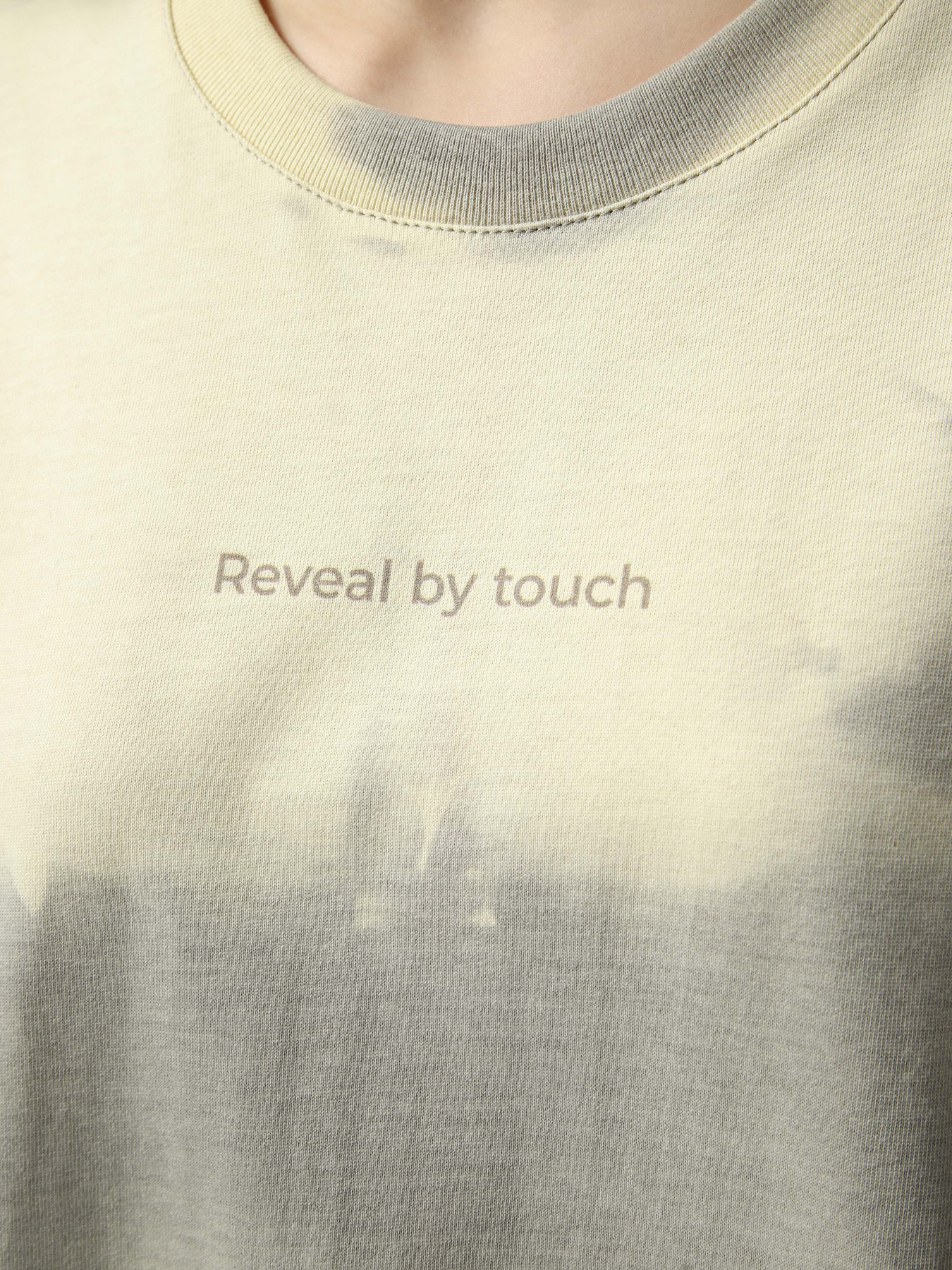 Braska FP-145-12 модель FP-145-12 Фото