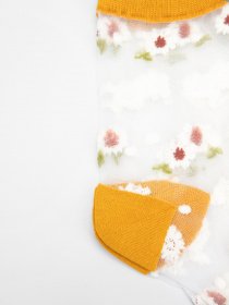 Шкарпетки та гольфи Braska Модель 31-80-312 Фото