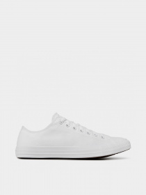 Кеды низкие CONVERSE Chuck Taylor All Star Monochrome Ox модель 1U647 Фото
