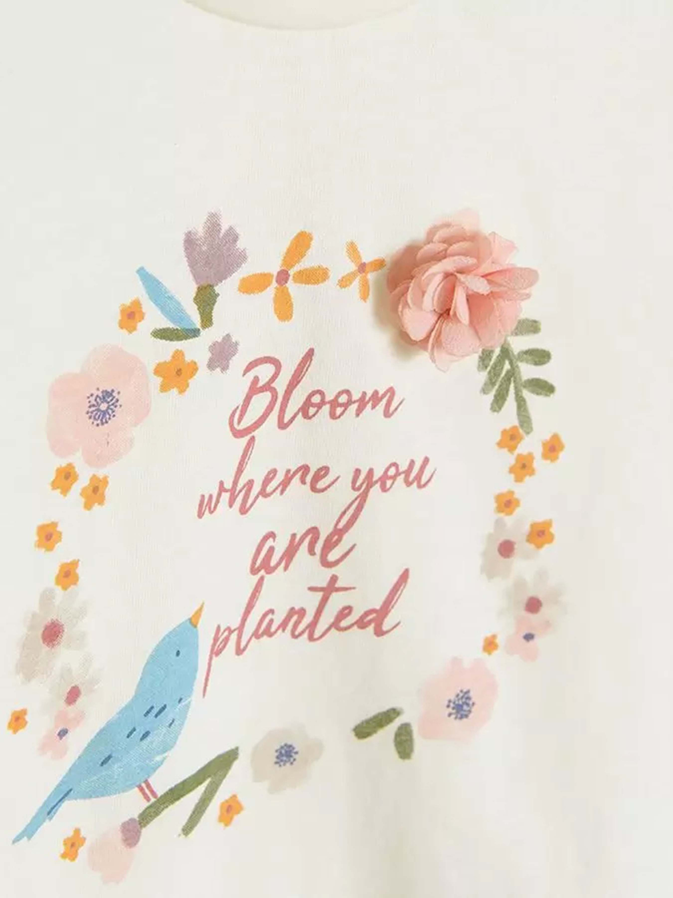 Лонгслив COOL CLUB модель CCG2511885 Фото