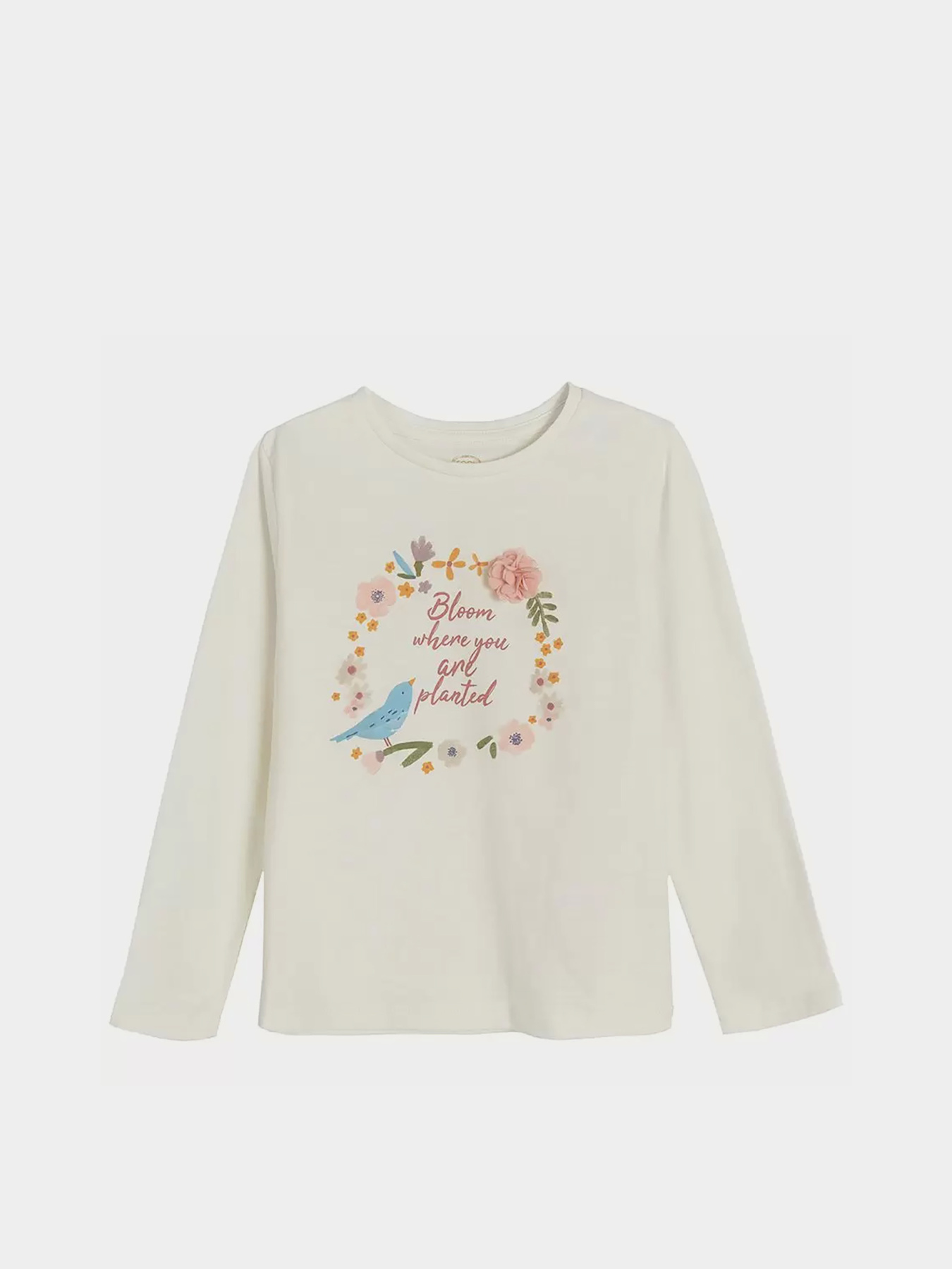 Лонгслів COOL CLUB модель CCG2511885 Фото