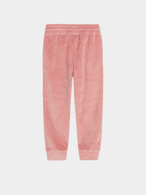 Джоггеры COOL CLUB модель CCG2511910 Фото