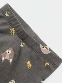 Леггинсы COOL CLUB модель CCG2512073 Фото