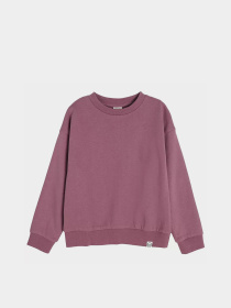 Свитшот COOL CLUB модель CCG2512392 Фото