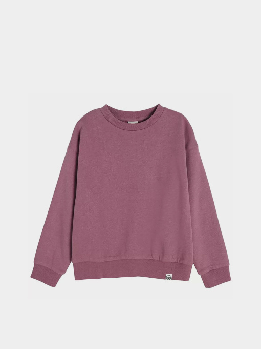 Світшот COOL CLUB модель CCG2512392 Фото