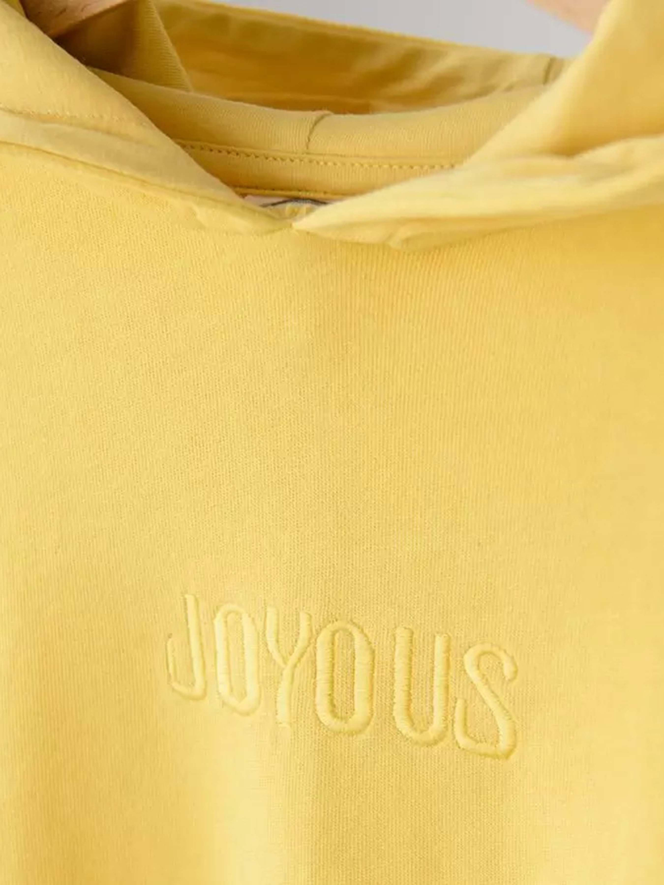 Худи COOL CLUB модель CCG2520118 Фото