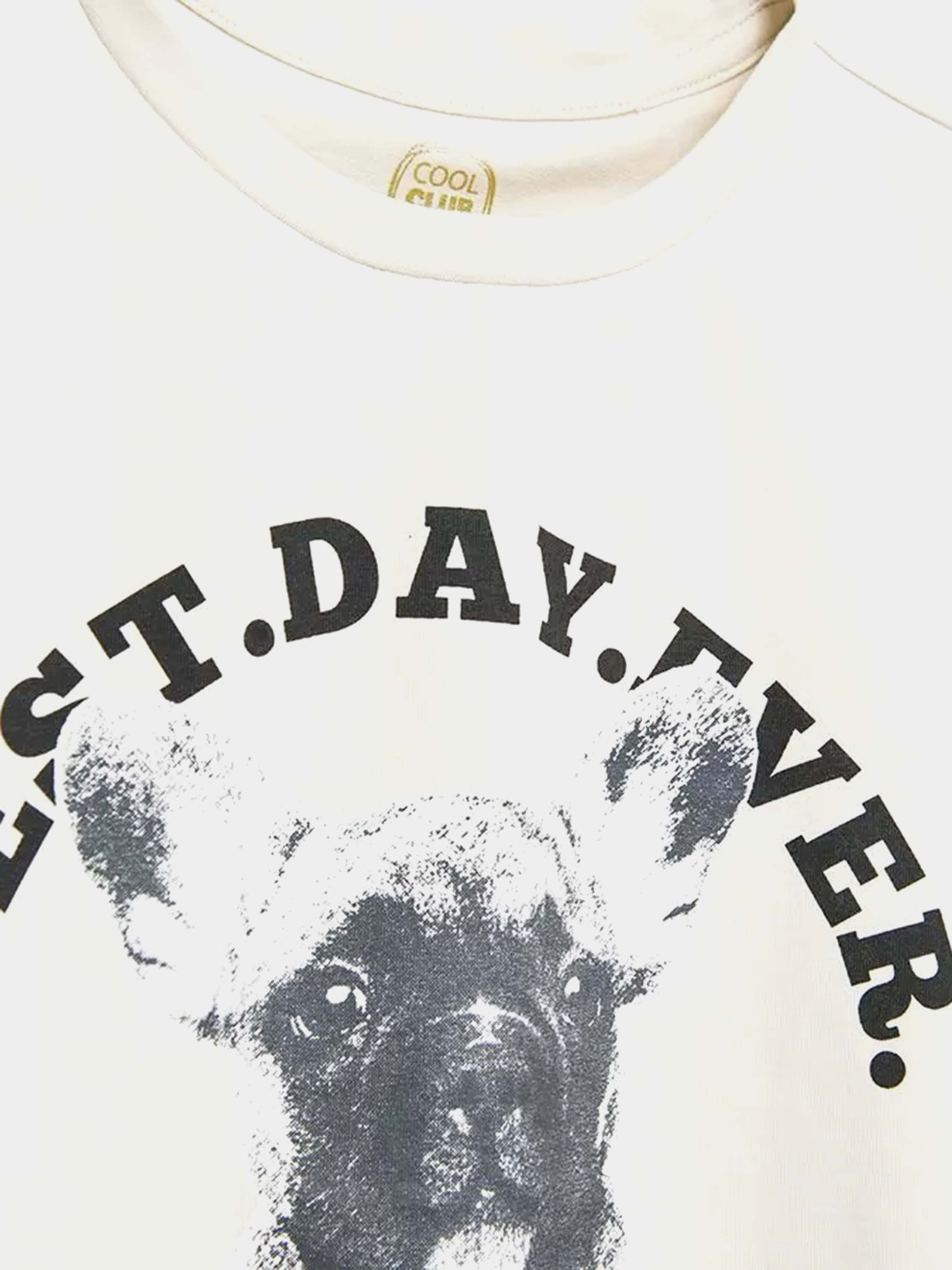 Лонгслив COOL CLUB модель CCG2521000 Фото