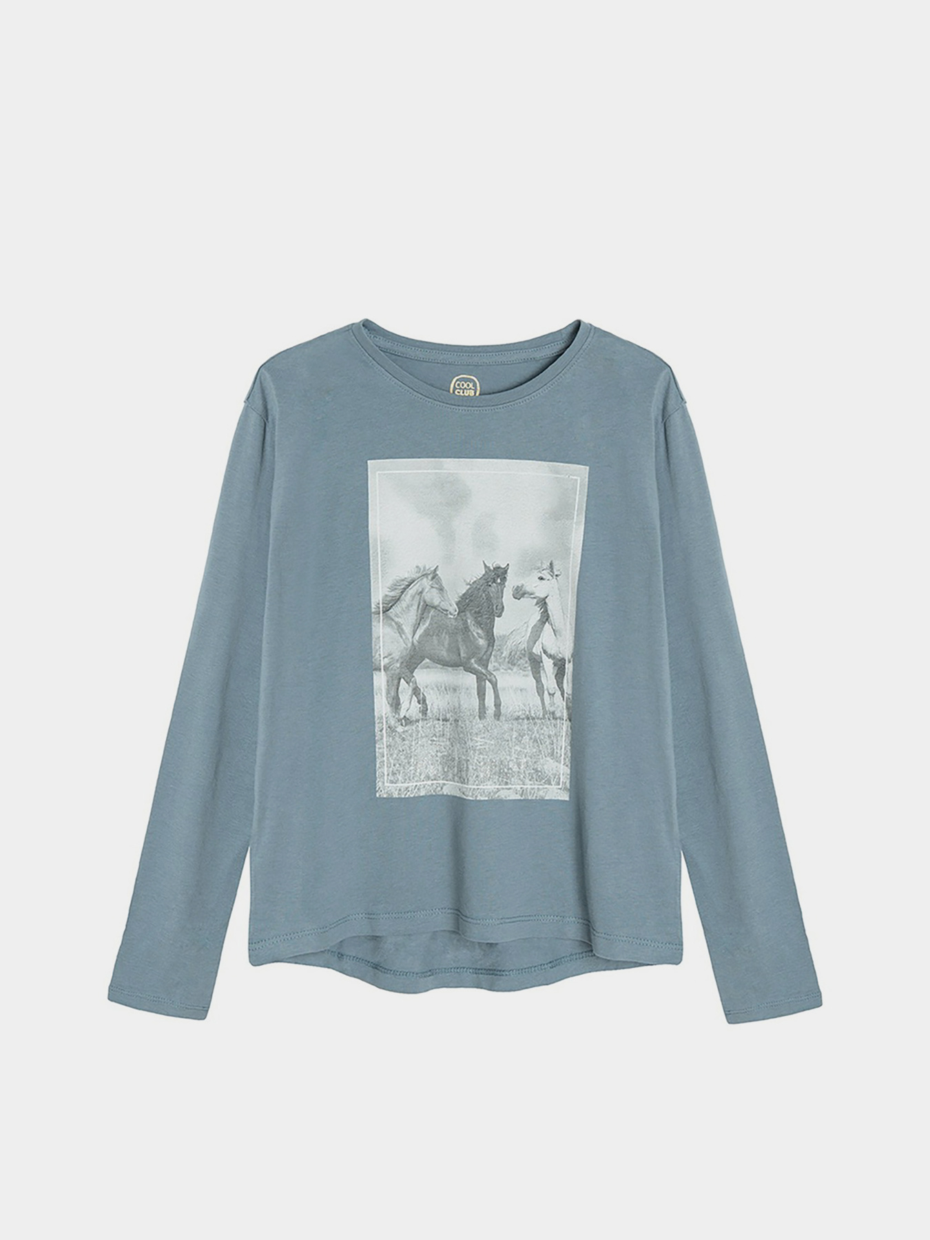 Лонгслив COOL CLUB модель CCG2521861 Фото