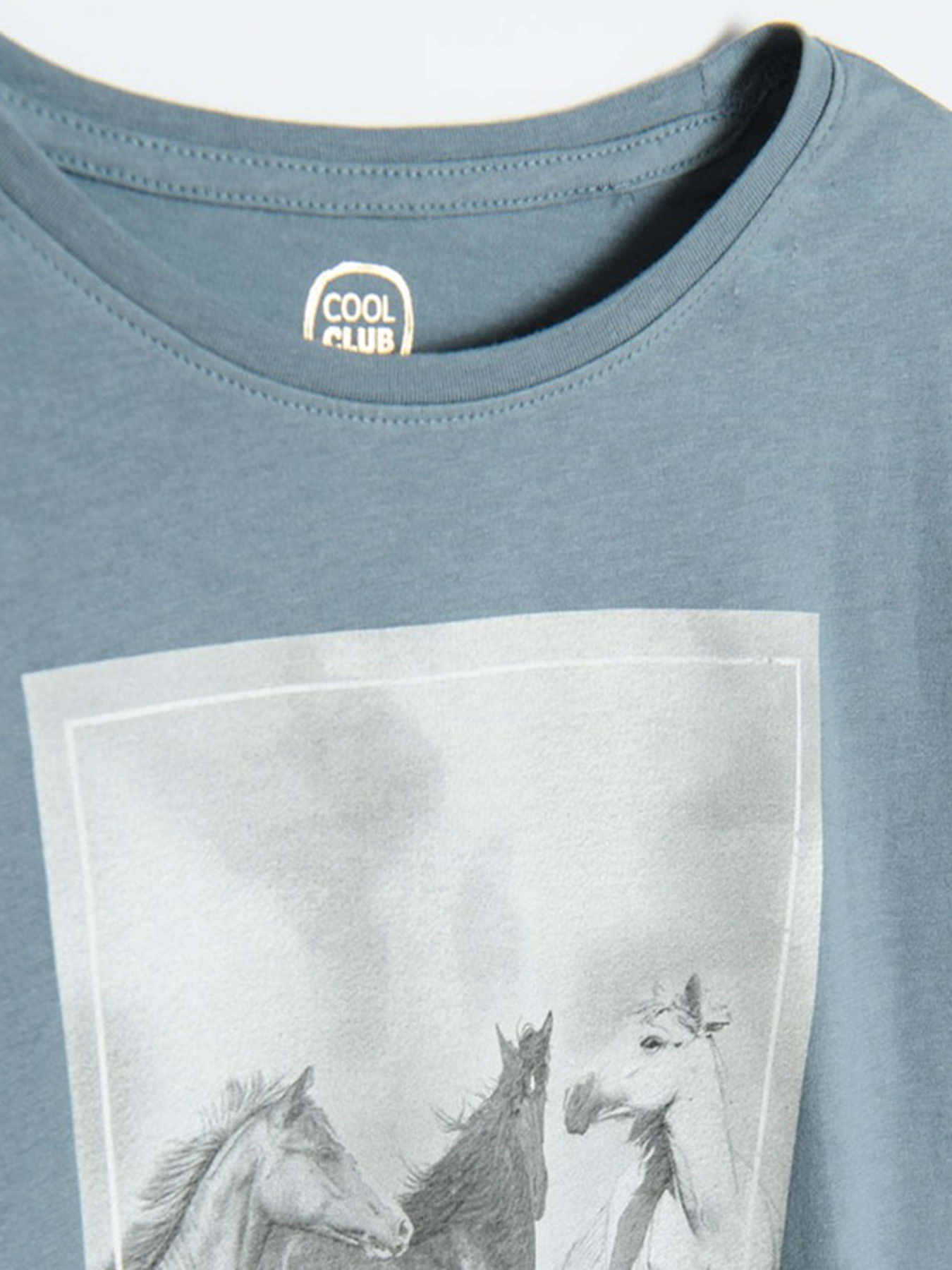 Лонгслив COOL CLUB модель CCG2521861 Фото