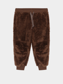 Джоггеры COOL CLUB модель CCB2501537 Фото