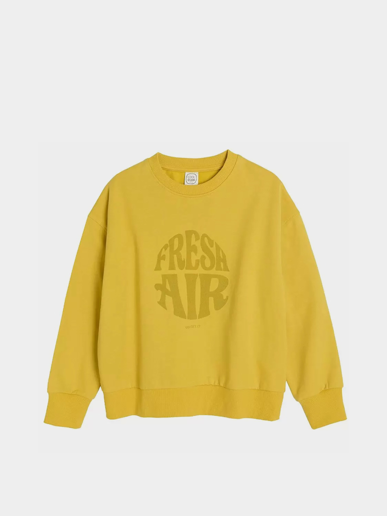 Свитшот COOL CLUB модель CCG2521914 Свитшот COOL CLUB модель CCG2521914 Фото