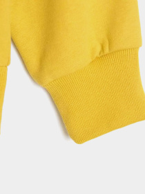 Свитшот COOL CLUB модель CCG2521914 Свитшот COOL CLUB модель CCG2521914 Фото