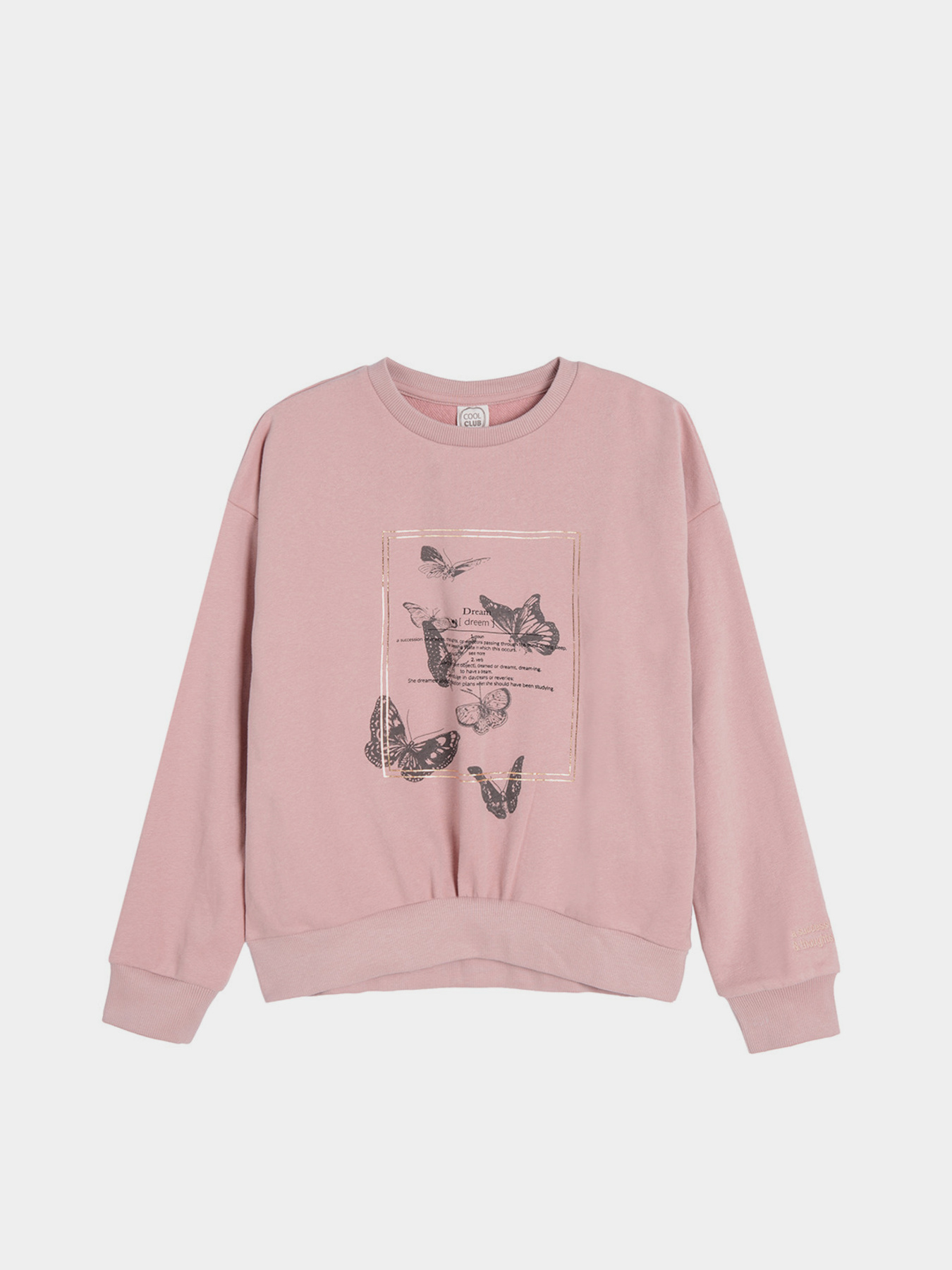 Світшот COOL CLUB модель CCG2521972 Світшот COOL CLUB модель CCG2521972 Фото