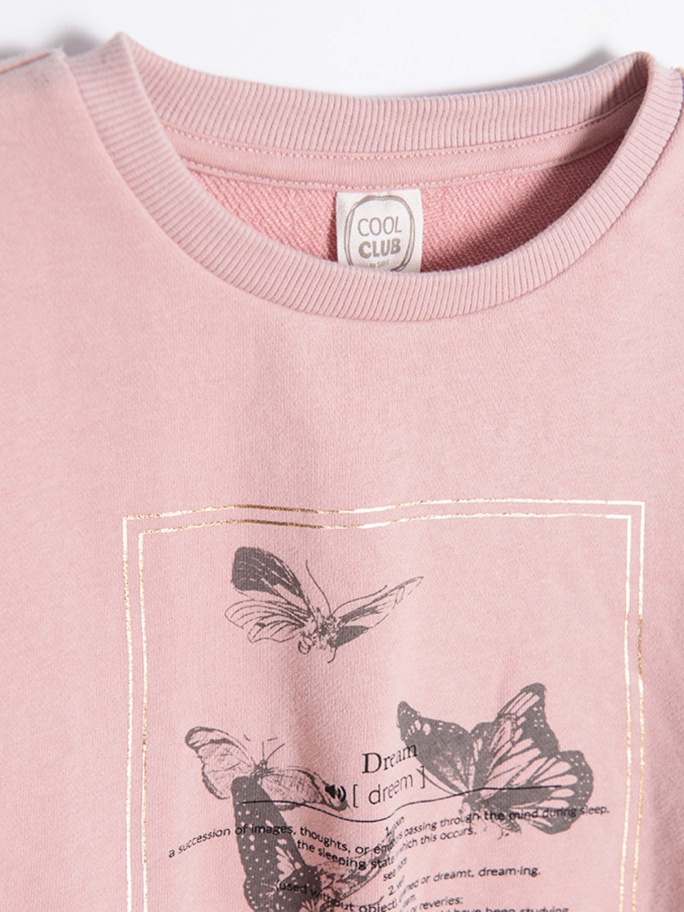 Світшот COOL CLUB модель CCG2521972 Світшот COOL CLUB модель CCG2521972 Фото