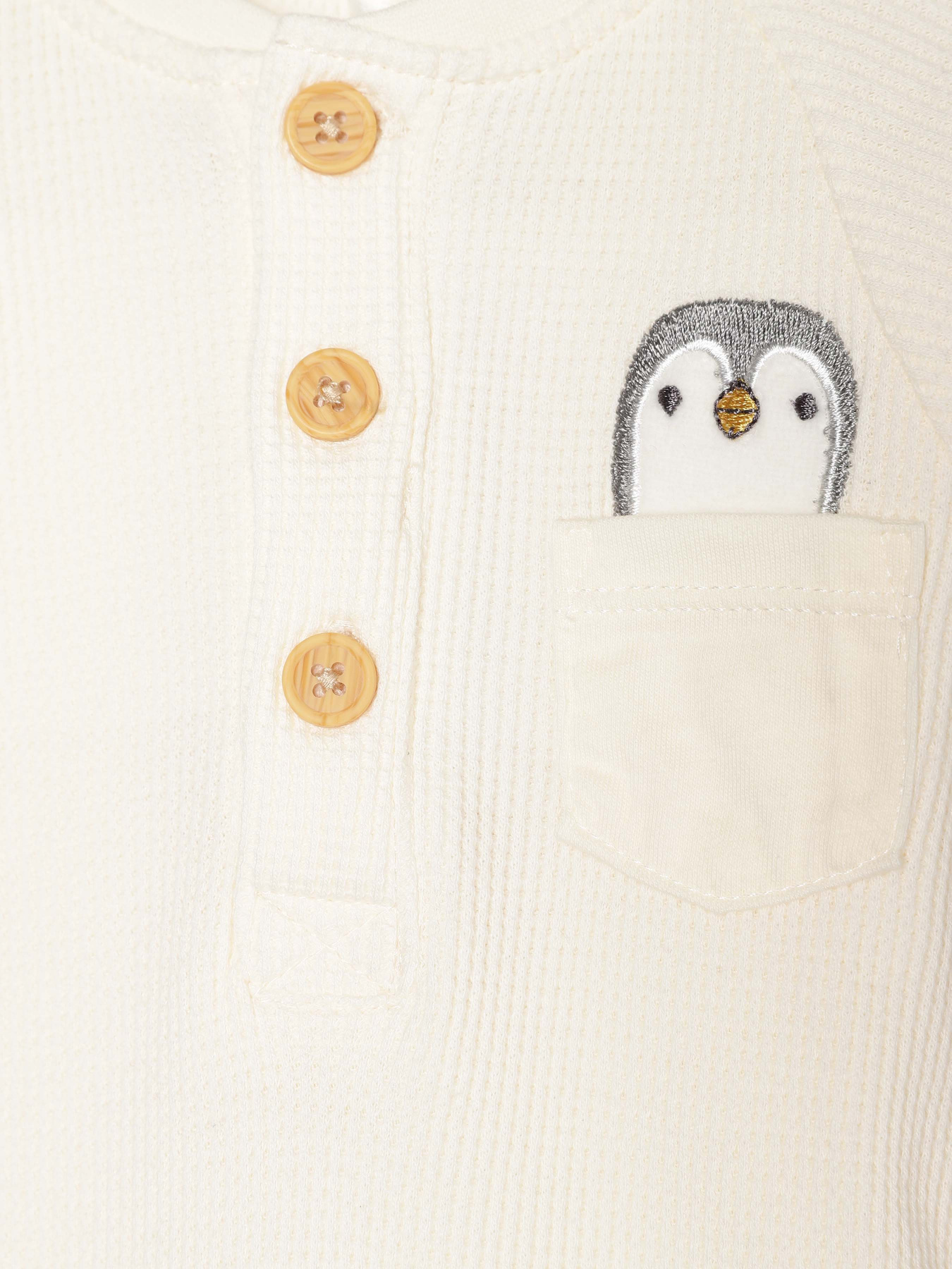 Боді для немовлят COOL CLUB модель CCB2502198 Фото