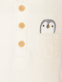 Боді для немовлят COOL CLUB модель CCB2502198 Фото