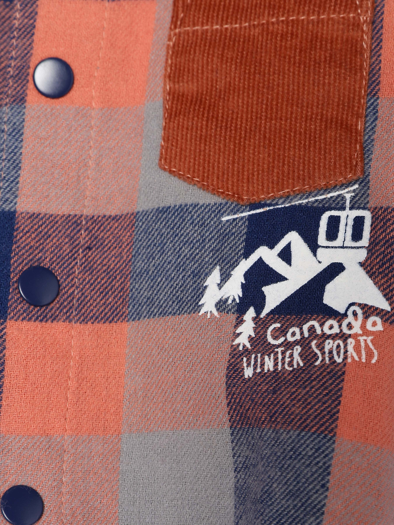 Боді для немовлят COOL CLUB модель CCB2502213 Фото