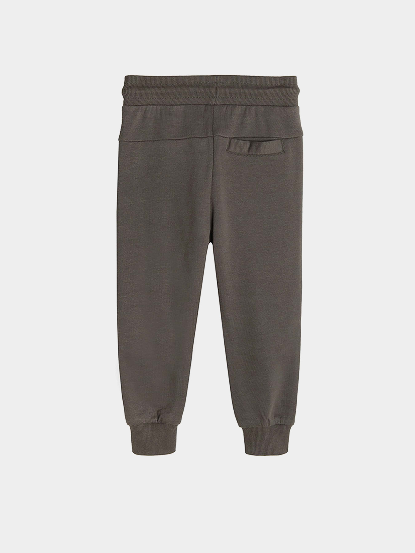 Джоггеры COOL CLUB модель CCB2510111 Фото