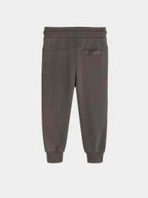 Джоггеры COOL CLUB модель CCB2510111 Фото