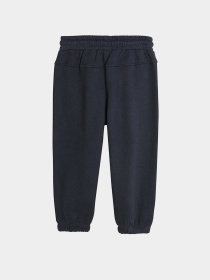 Джоггеры COOL CLUB модель CCB2510521 Джоггеры COOL CLUB модель CCB2510521 Фото