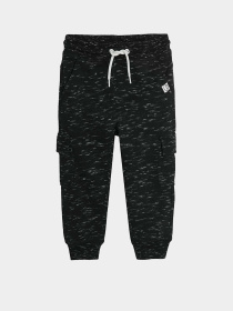 Джоггеры COOL CLUB модель CCB2510643 Фото