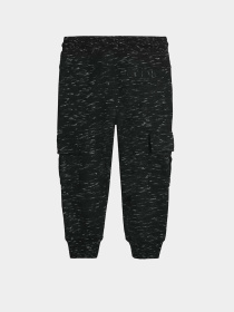 Джоггеры COOL CLUB модель CCB2510643 Фото