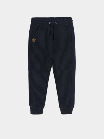Джоггеры COOL CLUB модель CCB2511365 Фото
