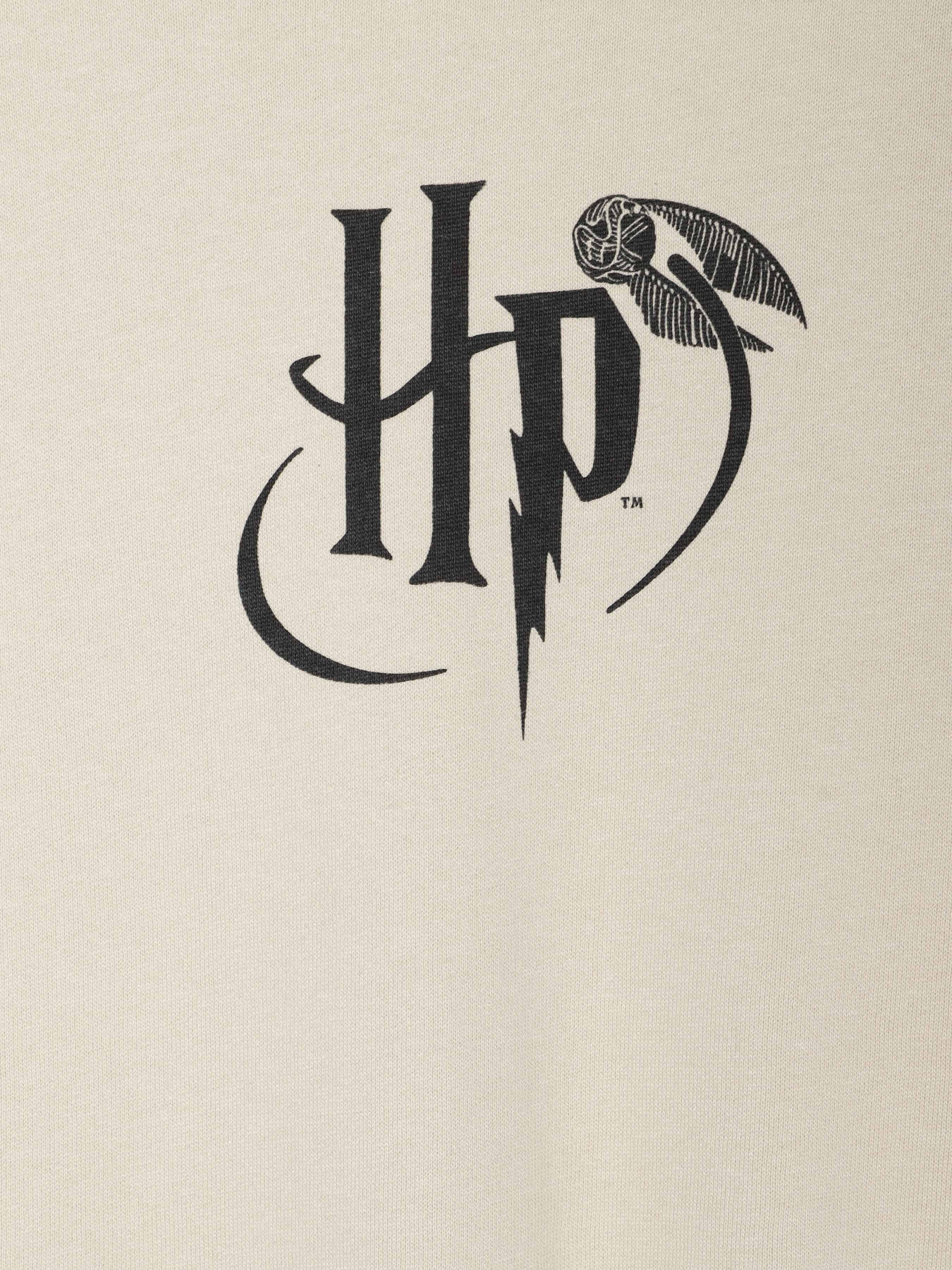 Свитшот COOL CLUB модель LCB2520091 Фото