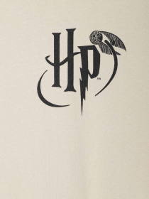 Свитшот COOL CLUB модель LCB2520091 Фото