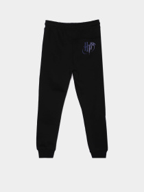 Джоггеры COOL CLUB модель LCB2521592 Фото