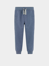 Джоггеры COOL CLUB модель CCB2017463-P Фото