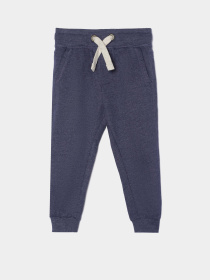 Джоггеры COOL CLUB модель CCB2017463-P Фото