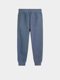 Джоггеры COOL CLUB модель CCB2017463-P Фото