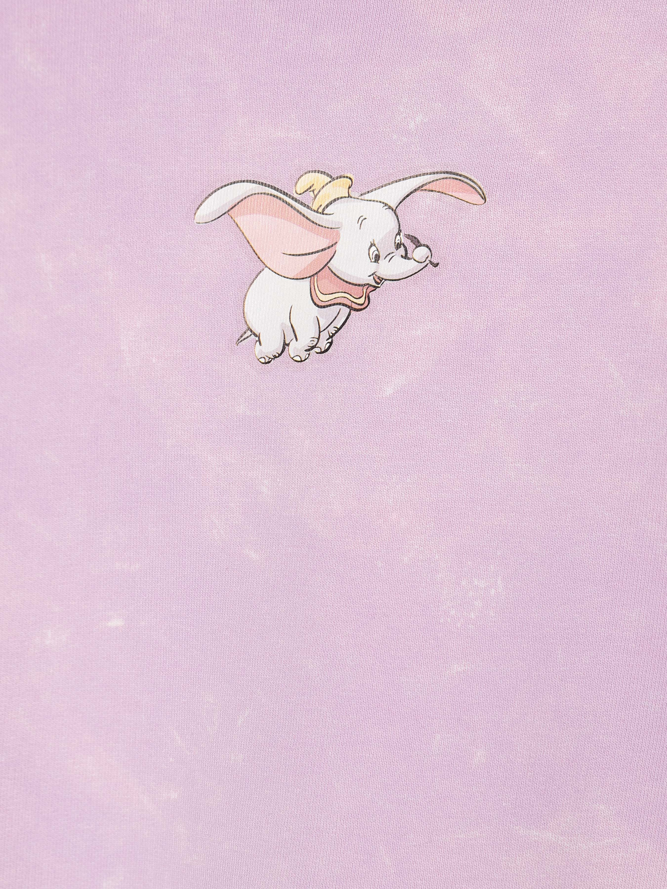 Свитшот COOL CLUB модель LCG2322778 Фото