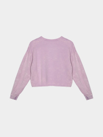 Світшот COOL CLUB модель LCG2322778 Світшот COOL CLUB модель LCG2322778 Фото