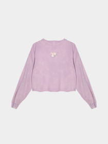 Світшот COOL CLUB модель LCG2322778 Світшот COOL CLUB модель LCG2322778 Фото