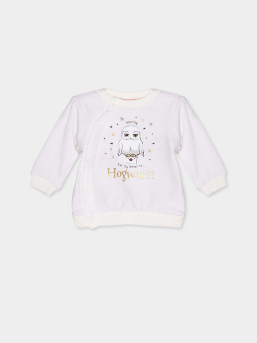 Свитшот COOL CLUB модель LNG2502946 Фото