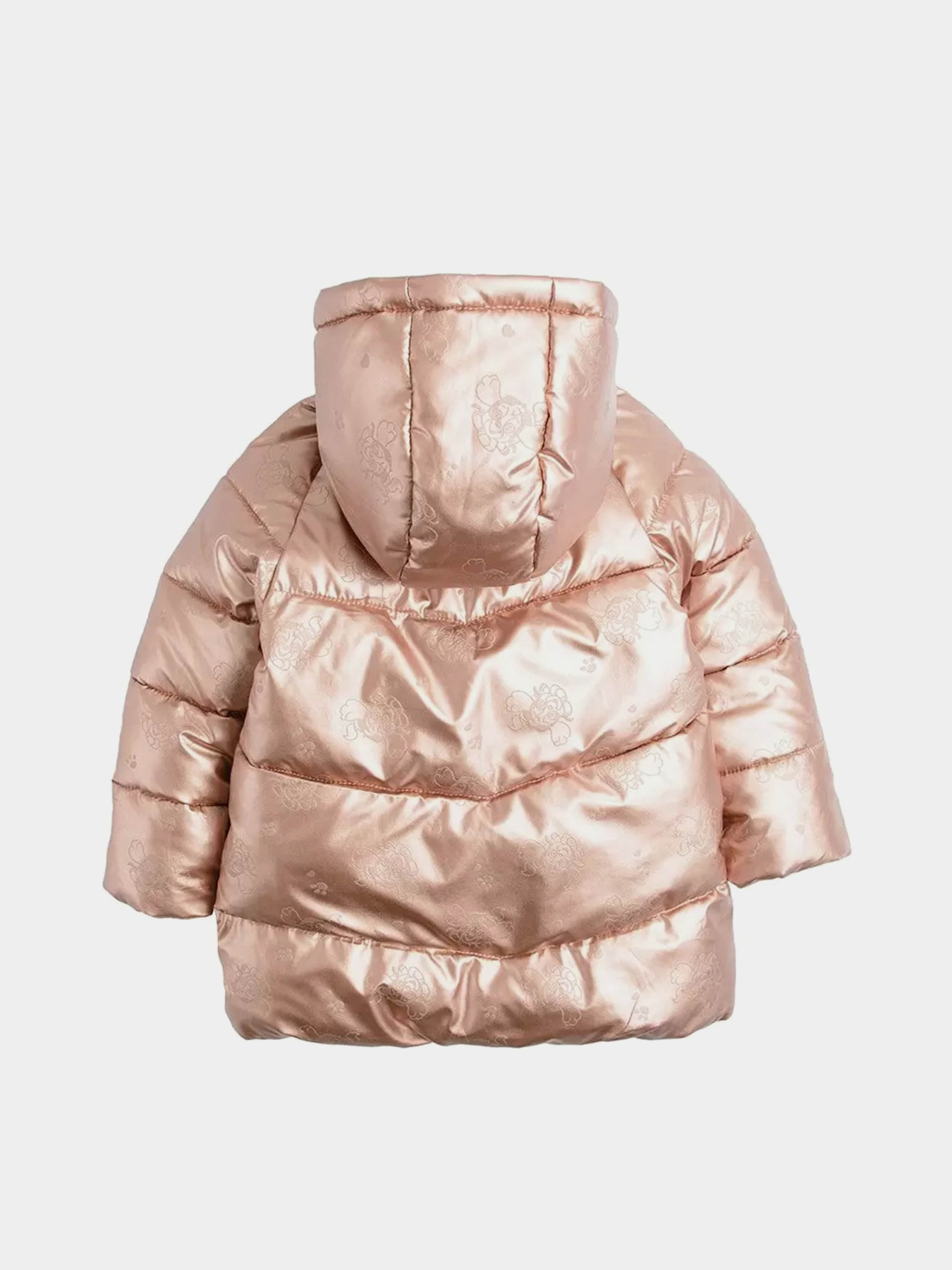 Зимняя куртка COOL CLUB модель LOG2512869 Зимняя куртка COOL CLUB модель LOG2512869 Фото