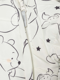 Комбінезон з утеплювачем COOL CLUB модель LOU2501783 Комбінезон з утеплювачем COOL CLUB модель LOU2501783 Фото