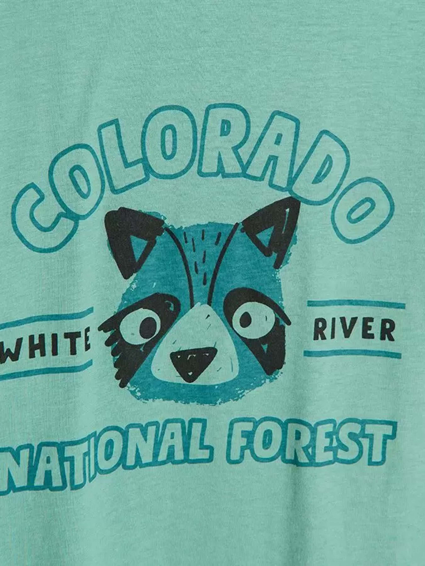 Лонгслив COOL CLUB модель CCB2511655 Фото