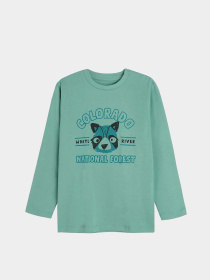 Лонгслив COOL CLUB модель CCB2511655 Фото